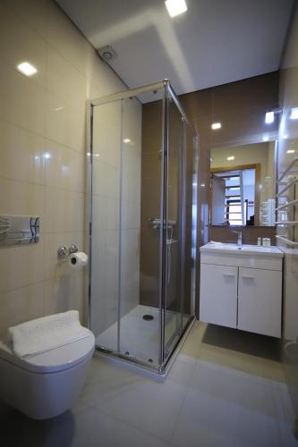 y baño con ducha, aseo y lavamanos. en Casa Martaínha, en Sernancelhe