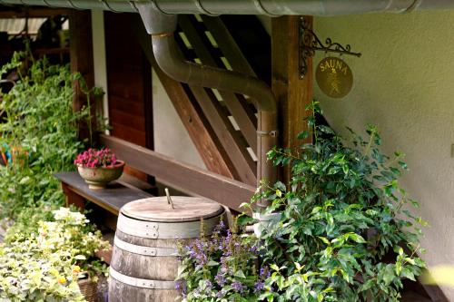 Κήπος έξω από το Chalet am Birkenhain