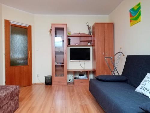 a living room with a couch and a flat screen tv at Cyklistika+rybaření+památky in Rebešovice