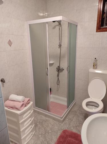 a bathroom with a shower and a toilet at Kuća za odmor Zdravka in Blato
