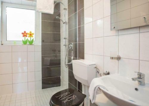 a bathroom with a toilet and a sink and a shower at Ferienwohnung Hillebachsee in Winterberg