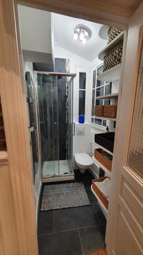 une petite salle de bain avec douche et toilettes dans l'établissement Studio 16m2 dans immeuble Hausmannien, à Paris