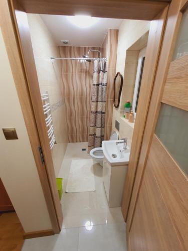 mała łazienka z toaletą i umywalką w obiekcie Apartamenty u Wieśka w Żurominie