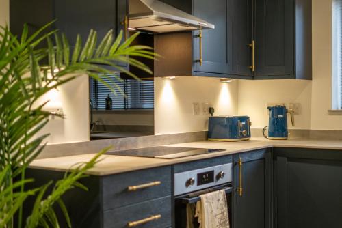 a kitchen with blue cabinets and a stove top oven at Mill Road Ground Floor Apartment in Crawley