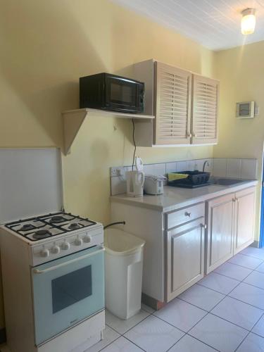 a kitchen with a stove and a microwave at Cool Running Apartments in Saint Georgeʼs