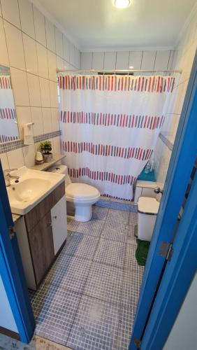 a bathroom with a toilet and a sink and a shower at Casa Lago Rapel, Las Cabras in Las Balsas
