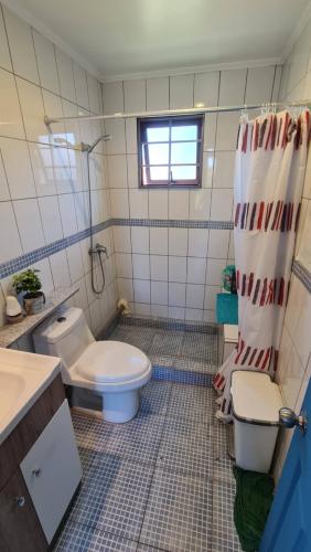 a bathroom with a toilet and a shower curtain at Casa Lago Rapel, Las Cabras in Las Balsas