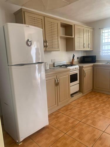 a white refrigerator in a kitchen with wooden cabinets at Cool Running Apartments in Saint Georgeʼs