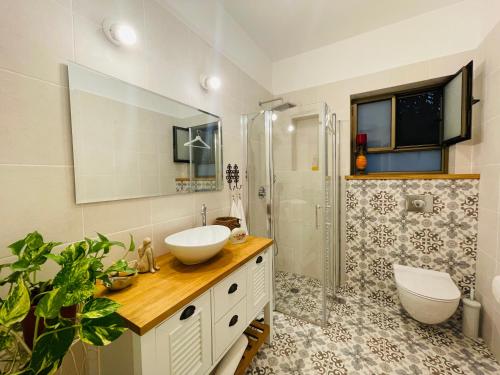 a bathroom with a sink and a toilet and a shower at Orlinka in Tirat Yehuda