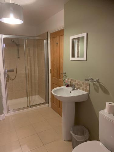 a bathroom with a shower and a sink and a toilet at The View at 37 B&B in Banbridge