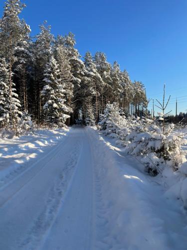 a snow covered road with snow covered trees on it at Käänu puhkemaja in Rakvere