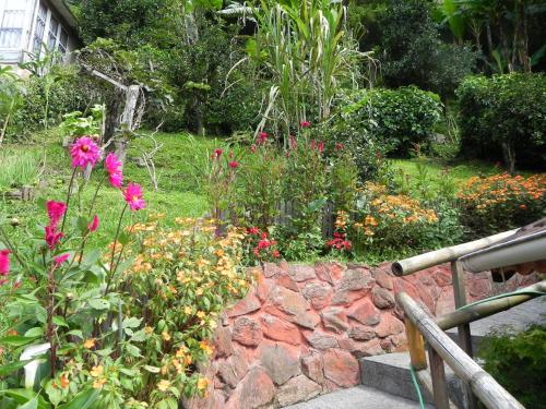 a garden with flowers and a stone wall at Pousada Solar das Flores Maringá RJ Visconde de Mauá in Visconde De Maua