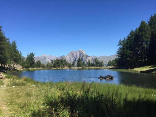 a lake with some animals in the water at Montricher Karellis, 5 min de St Jean de Maurienne in Montricher-Albanne