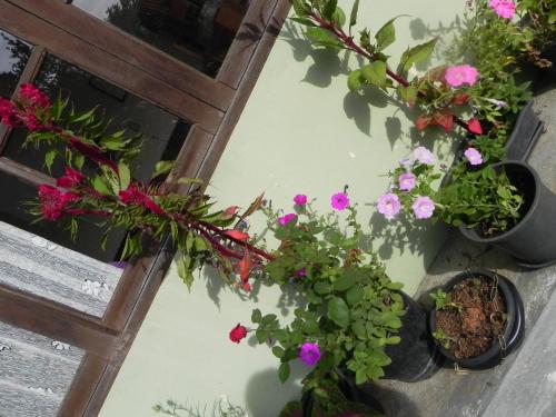 a group of flowers in pots next to a window at Pousada Solar das Flores Maringá RJ Visconde de Mauá in Visconde De Maua