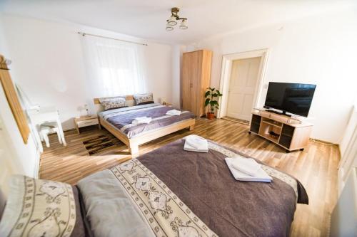 een slaapkamer met 2 bedden en een flatscreen-tv bij Casa Aldem in Sibiu