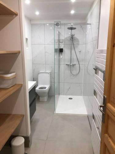 une salle de bain avec douche et toilettes dans l'établissement Allemond - Restful 2 bed apartment for ski, cycle & family, à Allemont