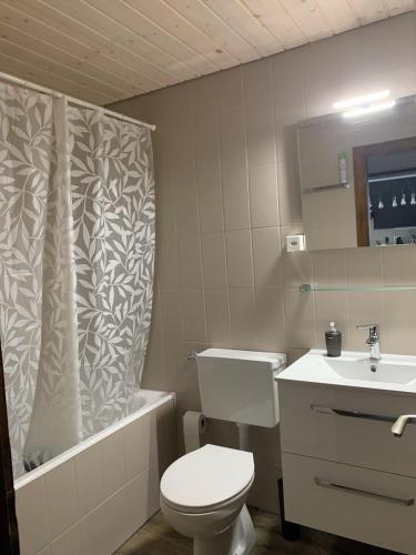 a bathroom with a toilet and a shower curtain at 2,5 pièces à Haute-Nendaz, grande terrasse, piscine, sauna, tennis in Nendaz
