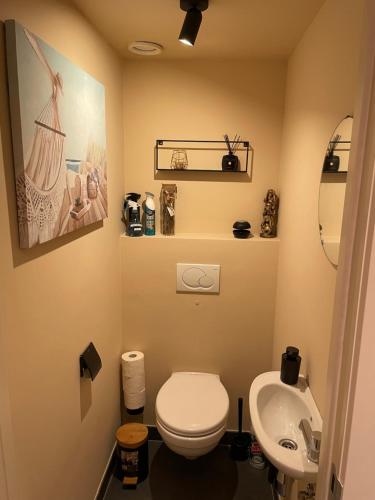 a bathroom with a white toilet and a sink at ERNA in Blankenberge