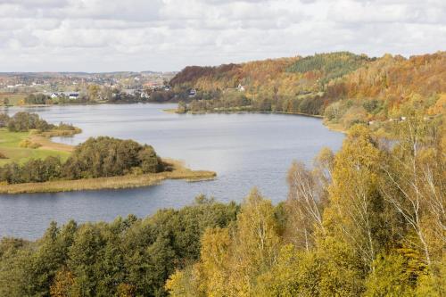 a view of a lake with trees and buildings at Willa MM Kaszuby in Łapalice