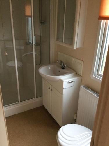 uma casa de banho com um lavatório, um chuveiro e um WC. em C8 em Aberystwyth