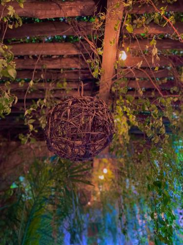 a bird nest hanging from the ceiling of a building at Hotel Jaiba Mahahual - Adults Only in Mahahual