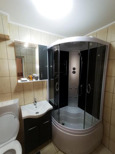a bathroom with a shower and a toilet and a sink at 105500 Apartment in Buşteni