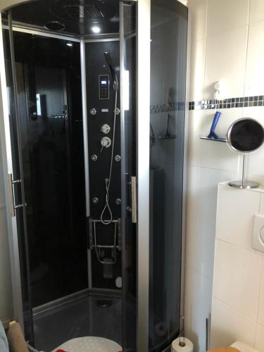a shower with a glass door in a bathroom at Le Coin Barlouka in Veysonnaz