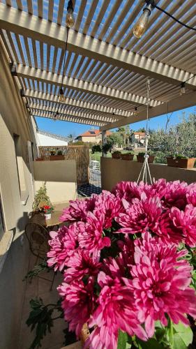 Zahrada ubytování B resort דירת נופש בדרום רמת הגולן
