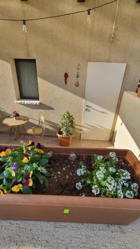 Zahrada ubytování B resort דירת נופש בדרום רמת הגולן
