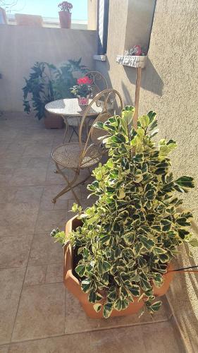 Fotografie z fotogalerie ubytování B resort דירת נופש בדרום רמת הגולן v destinaci Giv'at Yo'av