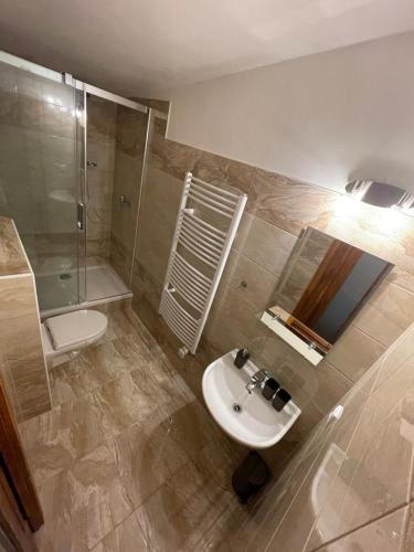 a bathroom with a sink and a shower and a toilet at Chalupa Jáchymov - ubytování v srdci Krušných hor in Jáchymov