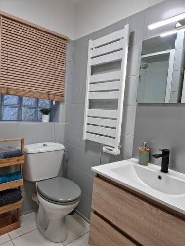 une salle de bain avec toilettes, lavabo et miroir dans l'établissement Maisonnette design Le Cosy - Amazon Prime - à 3mn à pied du marché - non climatisé -, à Surgères