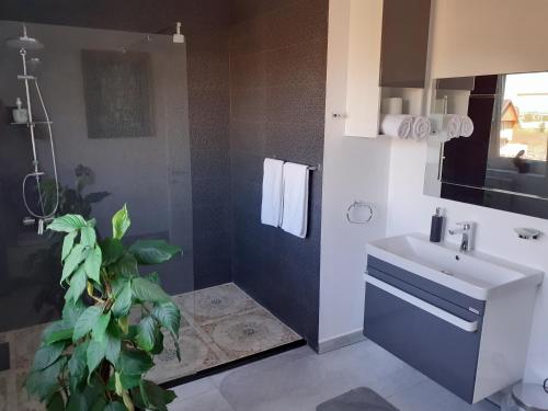 a bathroom with a sink and a shower and a toilet at Salcia in Tăşnad