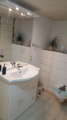 Ferienwohnung Nicole tesisinde bir banyo