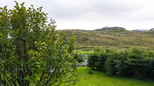 a row of trees in a field with hills in the background at Unique Location - Bodanes - Hoydalar - 6 BR Villa in Tórshavn
