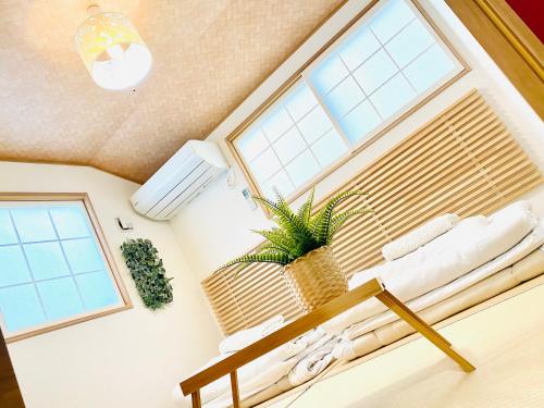 a living room with a potted plant and windows at Private lodging in WEST TOKYO(SHINJUKU, TACHIKAWA, SANRIO, GHIBLI, MT. TAKAO etc) in Kokubunji