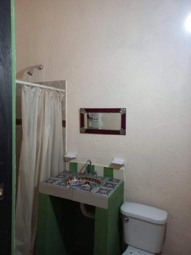 a bathroom with a sink and a toilet and a mirror at Casa Loteria in San Miguel de Allende