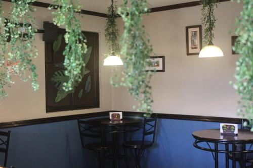 a bar with two tables and plants on the wall at Berlor Airport Inn in Alajuela City