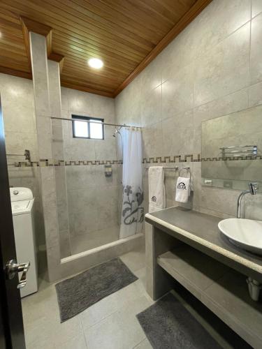 ein Bad mit einer Dusche, einem Waschbecken und einem WC in der Unterkunft Apartahotel Casa Soleil in Puerto Villamil