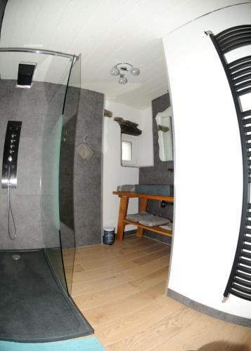 a room with a glass shower in a room at Le Gîte au bord de la Forêt in Monthermé