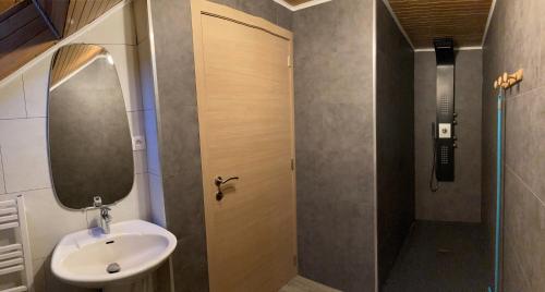 a bathroom with a sink and a mirror and a shower at Le Gîte au bord de la Forêt in Monthermé