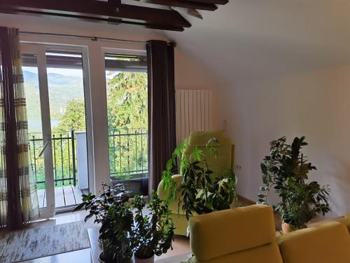 a living room with a couch and some plants at BALCON Apartments in Bled