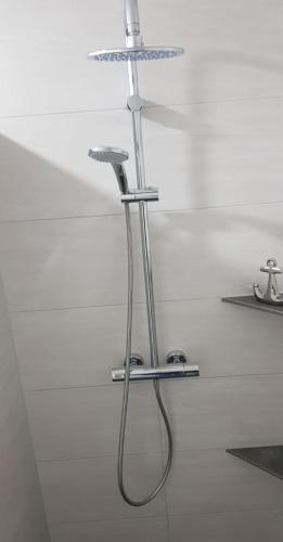 a shower in a white room with a shower at Ferienhof Broger FeWo Bergblickle mit Pool in Neukirch