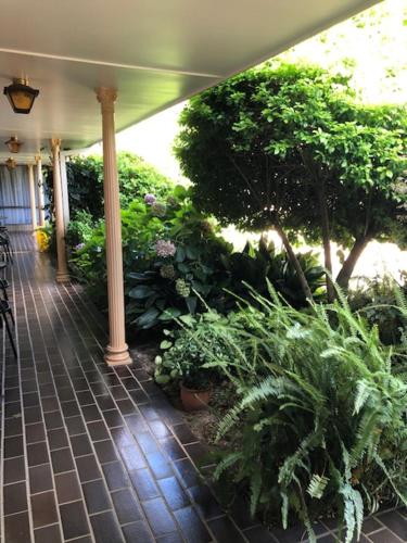 a porch with a bunch of plants and trees at Muswellbrook Motor Inn in Muswellbrook