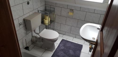 La petite salle de bains est pourvue de toilettes et d'un lavabo. dans l'établissement Ambiente Chalet Julienhöhe, à Niederdorf