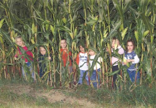 a group of children standing in a cornfield at Ferienhof Schlag in Waldmünchen