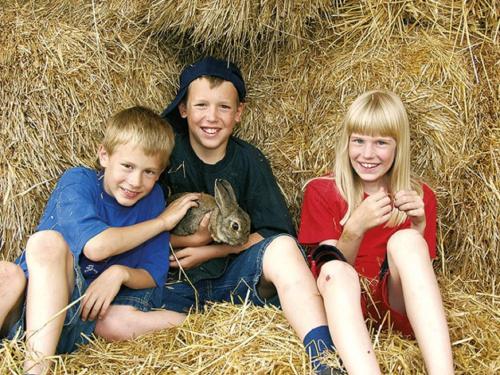 a group of children sitting in hay holding a rabbit at Ferienhof Schlag in Waldmünchen
