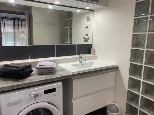 a bathroom with a washing machine and a sink at Le Ticolibri 1064 Anse des Rochers villa hibiscus in Courcelles Sucrerie