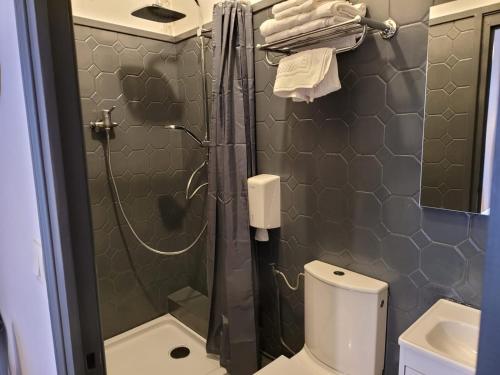 a bathroom with a shower with a toilet and a sink at Le Chalet Montégut in Moulins
