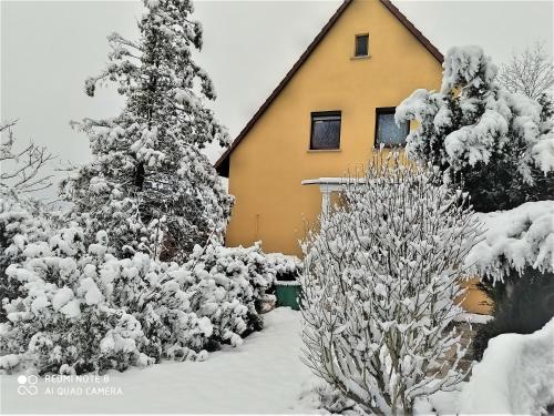 a yellow house with snow covered trees in front of it at Mediterran-Skandinavisch - Outdoorwhirlpool ganzjährig in Burgthann